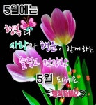 행복한 5월되세요 - ┃…………자유게시판┃ - ♡학사모♡ 행복한 5월되세요