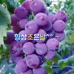 화목한 휴일 되세요 - ┃…………자유게시판┃ - ♡학사모♡ 화목한 휴일 되세요