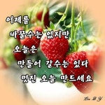 건강한 하루 되세요 - ┃…………자유게시판┃ - ♡학사모♡ 건강한 하루 되세요
