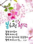 봄처럼 활짝웃는 한주 되세요 - ┃…………자유게시판┃ - ♡학사모♡ 봄처럼 활짝웃는 한주 되세요