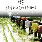 오늘은 절기상 망종 - …………자유게시판 - 학사모 오늘은 절기상 망종