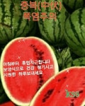 오늘은 중복 입니다 - ┃…………자유게시판┃ - ♡학사모♡ 오늘은 중복 입니다