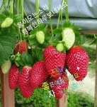 긍정의 행금 되세요 - ┃…………자유게시판┃ - ♡학사모♡ 긍정의 행금 되세요