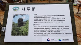 (청송)주왕산절골단풍 - 산행 후기방 - 영주 영산산악회 (청송)주왕산절골단풍