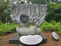 (청양)346회차 칠갑산561m산행 - 정기산행 알림방 - 영주 영산산악회 영주 영산산악회