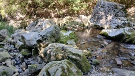 정선항골숨바위길 - 산행 후기방 - 영주 영산산악회 정선항골숨바위길