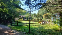 정선항골숨바위길 - 산행 후기방 - 영주 영산산악회 정선항골숨바위길