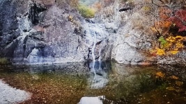 (청송)주왕산절골단풍 - 산행 후기방 - 영주 영산산악회 (청송)주왕산절골단풍