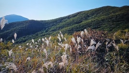 지리산 서부능선 만복대산행 - 산행 후기방 - 영주 영산산악회 지리산 서부능선 만복대산행