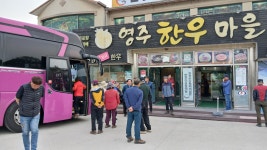 남양주 서리산철쭉산행 (동영상) - 산행 후기방 - 영주 영산산악회 남양주 서리산철쭉산행 (동영상)