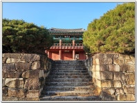 ♥금호강자전거길 (영천버스터미널→ 임고서원→ 부호역)♥ - 등산 정보 - mta(安珉修) ♥금호강자전거길 (영천버스터미널→ 임고서원→ 부호역)♥
