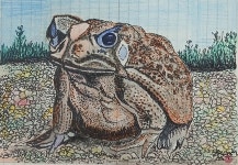 (엽서수필 10) 얻은 기회, 놓친 기회 18. 금두꺼비 울다 - ▒엽서 수필 - 월간 한비문학 (엽서수필 10) 얻은 기회, 놓친 기회 18. 금두꺼비 울다