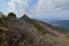 흰대미산-양각산-시코봉-수도산 - 자유게시판 - 들꽃사랑* 흰대미산-양각산-시코봉-수도산