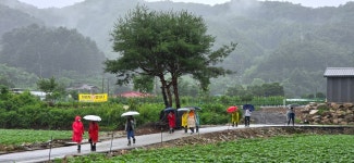 20250719 DMZ평화의길 17회차(18코스 잠곡3리정류장~자등종합복지관~자등2리마을회관~와수리세월교) 사진모음 2 - ◆―‥DMZ평화의길... 