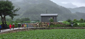 20250719 DMZ평화의길 17회차(18코스 잠곡3리정류장~자등종합복지관~자등2리마을회관~와수리세월교) 사진모음 2 - ◆―‥DMZ평화의길... 