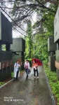 20250719 DMZ평화의길 17회차(18코스 잠곡3리정류장~자등종합복지관~자등2리마을회관~와수리세월교) 사진모음 3 - ◆―‥DMZ평화의길... 