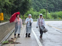 20250719 DMZ평화의길 17회차(18코스 잠곡3리정류장~자등종합복지관~자등2리마을회관~와수리세월교) 사진모음 2 - ◆―‥DMZ평화의길... 