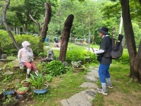 20250705 DMZ평화의길 16회차(20코스 풍차펜션~만산령~명월2리버스정류장) 사진모음4 - ◆―‥DMZ평화의길 갤러리 - 거인산악회. 20250705... 