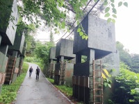 20250719 DMZ평화의길 17회차(18코스 잠곡3리정류장~자등종합복지관~자등2리마을회관~와수리세월교) 사진모음 4 - ◆―‥DMZ평화의길... 