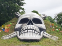 20250719 DMZ평화의길 17회차(18코스 잠곡3리정류장~자등종합복지관~자등2리마을회관~와수리세월교) 사진모음 4 - ◆―‥DMZ평화의길... 