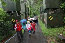 20250719 DMZ평화의길 17회차(18코스 잠곡3리정류장~자등종합복지관~자등2리마을회관~와수리세월교) 사진모음 7 - ◆―‥DMZ평화의길... 