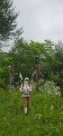 20250705 DMZ평화의길 16회차(20코스 풍차펜션~만산령~명월2리버스... 20250705 DMZ평화의길 16회차(20코스 풍차펜션~만산령~명월2리버스정... 