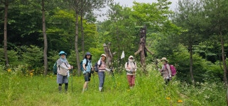 20250705 DMZ평화의길 16회차(20코스 풍차펜션~만산령~명월2리버스정류장) 사진모음4 - ◆―‥DMZ평화의길 갤러리 - 거인산악회. 20250705... 