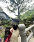 대전광역시 보호수 6-5-4-3-2-1 느티나무/대덕구 비래동 503 - ♣ 한봉수(보호수) - 동악산기슭 대전광역시 보호수 6-5-4-3-2-1 느티나무... 
