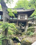 대전광역시 보호수 6-5-4-3-2-1 느티나무/대덕구 비래동 503 - ♣ 한봉수(보호수) - 동악산기슭 대전광역시 보호수 6-5-4-3-2-1 느티나무... 