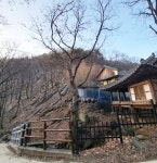 대전광역시 보호수 6-5-4-3-2-1 느티나무/대덕구 비래동 503 - ♣ 한봉수(보호수) - 동악산기슭 대전광역시 보호수 6-5-4-3-2-1 느티나무... 