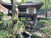 대전광역시 보호수 6-5-4-3-2-1 느티나무/대덕구 비래동 503 - ♣ 한봉수(보호수) - 동악산기슭 대전광역시 보호수 6-5-4-3-2-1 느티나무... 