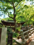 대전광역시 보호수 6-5-4-3-2-1 느티나무/대덕구 비래동 503 - ♣ 한봉수(보호수) - 동악산기슭 대전광역시 보호수 6-5-4-3-2-1 느티나무... 