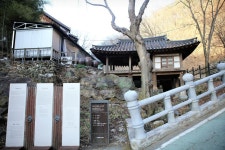대전광역시 보호수 6-5-4-3-2-1 느티나무/대덕구 비래동 503 - ♣ 한봉수(보호수) - 동악산기슭 대전광역시 보호수 6-5-4-3-2-1 느티나무... 