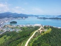 천연기념물 제28호 전남 완도군 완도읍 군내리 완도 주도 상록수림 (2) - ♣ 한봉수(수목류 천연기념물) - 동악산기슭 천연기념물 제28호 전남... 