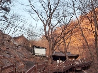 대전광역시 보호수 6-5-4-3-2-1 느티나무/대덕구 비래동 503 - ♣ 한봉수(보호수) - 동악산기슭 대전광역시 보호수 6-5-4-3-2-1 느티나무... 
