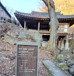 대전광역시 보호수 6-5-4-3-2-1 느티나무/대덕구 비래동 503 - ♣ 한봉수(보호수) - 동악산기슭 대전광역시 보호수 6-5-4-3-2-1 느티나무... 
