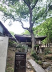 대전광역시 보호수 6-5-4-3-2-1 느티나무/대덕구 비래동 503 - ♣ 한봉수(보호수) - 동악산기슭 대전광역시 보호수 6-5-4-3-2-1 느티나무... 