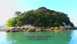 천연기념물 제28호 전남 완도군 완도읍 군내리 완도 주도 상록수림 (2) - ♣ 한봉수(수목류 천연기념물) - 동악산기슭 천연기념물 제28호 전남... 