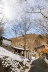 대전광역시 보호수 6-5-4-3-2-1 느티나무/대덕구 비래동 503 - ♣ 한봉수(보호수) - 동악산기슭 대전광역시 보호수 6-5-4-3-2-1 느티나무... 