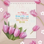 우리님들 그동안 감사하였습니다.영심이 작별 인사드립니다.... - ♡자유게시판 - 주님을 기다리는 신부들 우리님들 그동안 감사하였습니다.영심... 