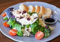 4, Ricotta Cheese Salad / 리코타 치즈 샐러드 - 2022부산정보관광고등학교 - 맛 있는 세상 ~~~★ 4, Ricotta Cheese Salad / 리코타... 