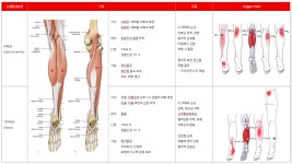 2026년 3월 특강-12목혈을 이용한 경맥 진단 특강-3/22 - 공지사항... 2026년 3월 특강-12목혈을 이용한 경맥 진단 특강-3/22
