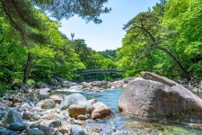 제196차 2025년 8월 - 지리산 대원사계곡 - …정기산행 - 구미 열린산악회 구미 열린산악회