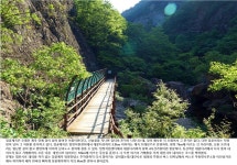 283차 2022년 9월 정기산행(주왕산 절골) - ◆ 정기산행공지or신청 - 김천 한빛 산악회 283차 2022년 9월 정기산행(주왕산 절골)