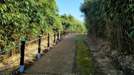 305차 2024년 7월 정기산행(홍성 죽도)안내 - ◆ 정기산행공지or신청 - 김천 한빛 산악회 305차 2024년 7월 정기산행(홍성 죽도)안내