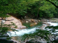 제 349 차 산청 지리산 대원사 계곡 (4차 코로나 대유행으로 취소합니다) - 정기산행(홈)신청 - 포항한길산악회 제 349 차 산청 지리산 대원사... 