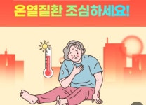 온열질환 증상과 치료방법& 예방법 - 일상 이야기(자유게시판) - 돌나라 유기농 짓는 청송마을 온열질환 증상과 치료방법& 예방법