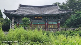 울진 월송초교-월송정-구산항-봉산2리. 울진읍 연지2일 1 - 수술이후나들이 - 산경표를 따라서 울진 월송초교-월송정-구산항-봉산2리. 울진읍... 