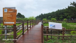 울진 월송초교-월송정-구산항-봉산2리. 울진읍 연지2일 1 - 수술이후나들이 - 산경표를 따라서 울진 월송초교-월송정-구산... 
