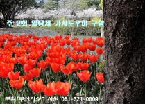 ✅부산 주례 주 2회 일당제 💖가사도우미 구함 - 가사 파출부 콜 - 사상가사원 ✅부산 주례 주 2회 일당제 💖가사도우미 구함
